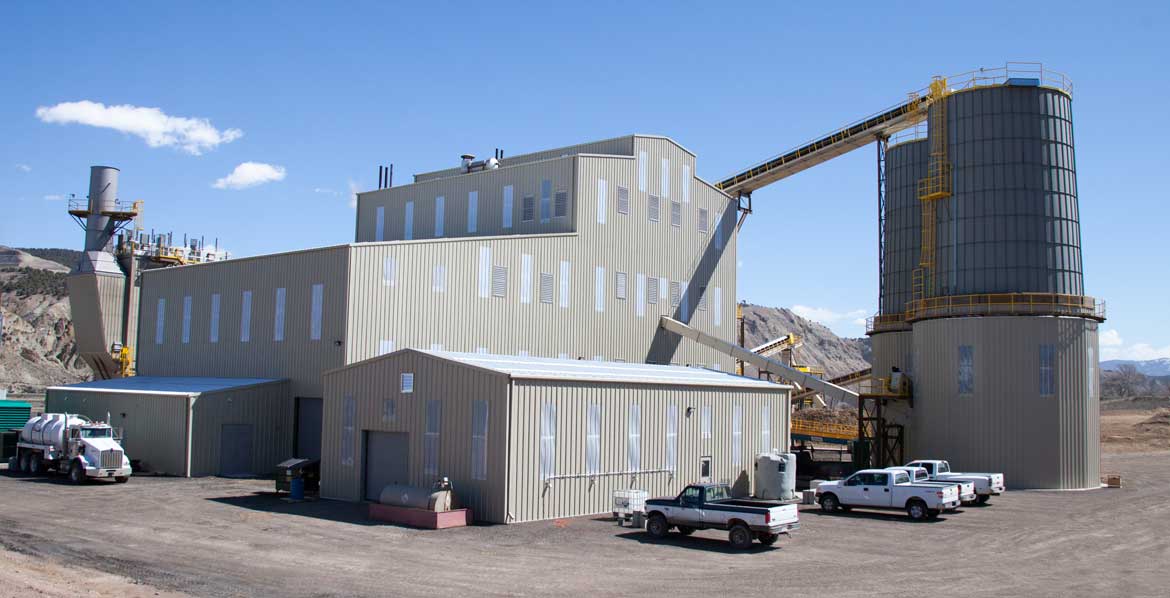 Wellons Biomass Power Generation